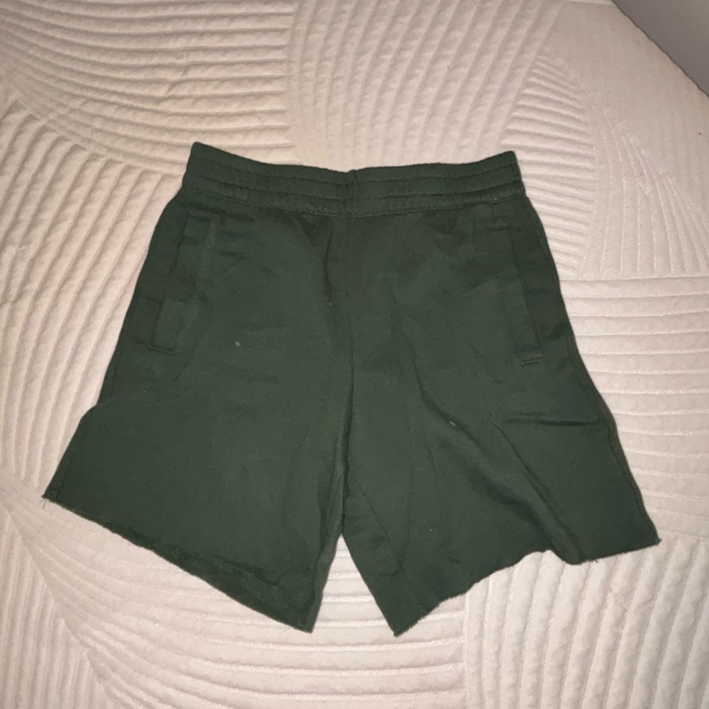 Aerie Green Casual Shorts